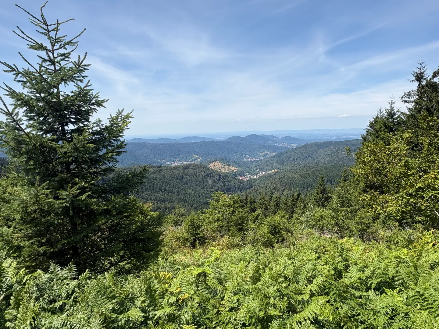 Dag 2: Eifel naar Zwarte Woud
